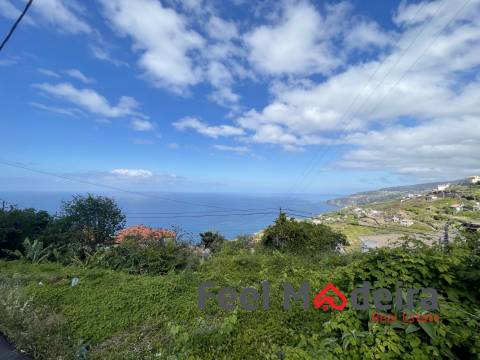Terreno Rústico  Venda em Ribeira Brava,Ribeira Brava