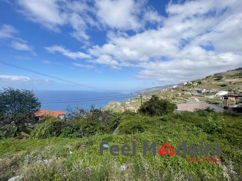 Terreno Rústico  Venda em Ribeira Brava,Ribeira Brava