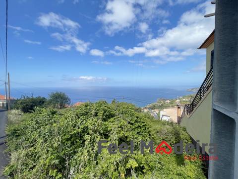 Terreno Rústico  Venda em Ribeira Brava,Ribeira Brava