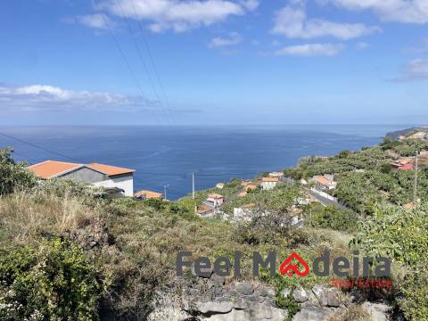 Moradia para Restaurar T2 Venda em Ribeira Brava,Ribeira Brava