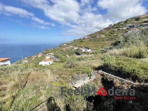 Moradia para Restaurar T2 Venda em Ribeira Brava,Ribeira Brava