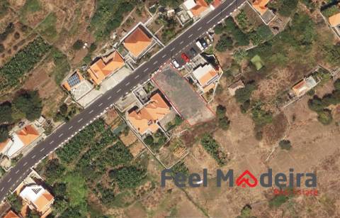 Terreno Rústico  Venda em Campanário,Ribeira Brava