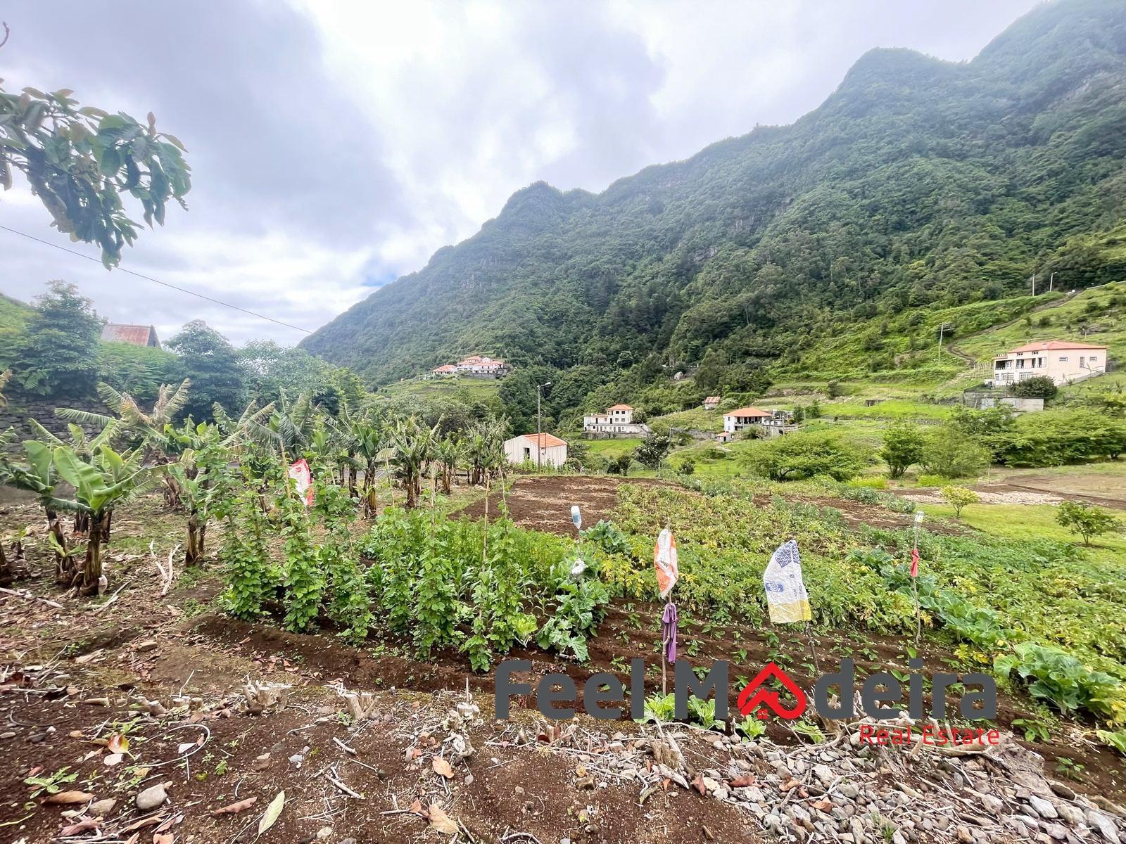Terreno Rústico  Venda em Boa Ventura,São Vicente