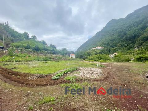 Terreno Rústico  Venda em Boa Ventura,São Vicente