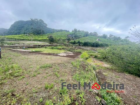 Terreno Rústico  Venda em Boa Ventura,São Vicente
