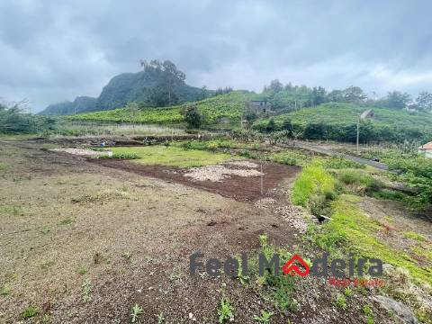 Terreno Rústico  Venda em Boa Ventura,São Vicente