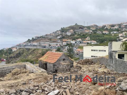 Terreno Misto T1 Venda em Ribeira Brava,Ribeira Brava