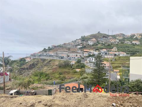 Terreno Misto T1 Venda em Ribeira Brava,Ribeira Brava