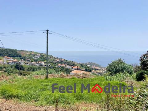 Terreno  Venda em Ponta do Sol,Ponta do Sol