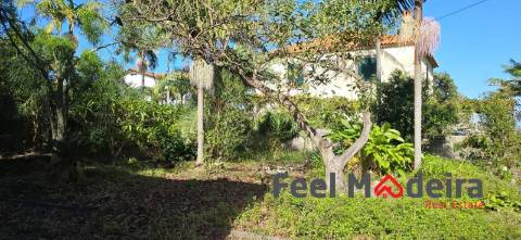 Moradia T4 Venda em Ponta Delgada,São Vicente