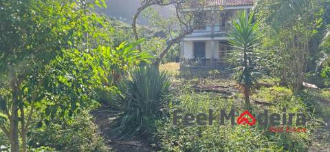 Moradia T4 Venda em Ponta Delgada,São Vicente