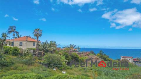 Moradia T4 Venda em Ponta Delgada,São Vicente