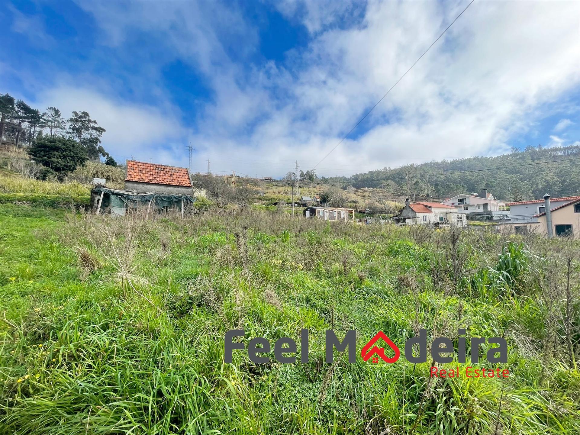 Terreno Rústico  Venda em Canhas,Ponta do Sol