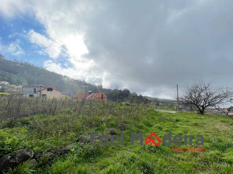 Terreno Rústico  Venda em Canhas,Ponta do Sol