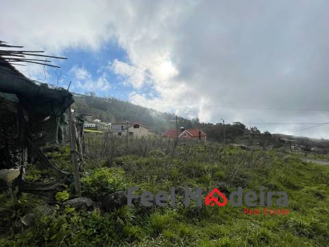 Terreno Rústico  Venda em Canhas,Ponta do Sol