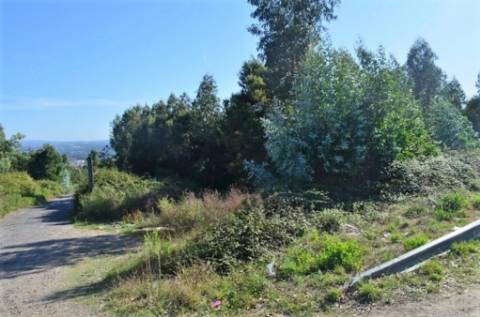 Terreno Rustico C/ 25.000m2 com viabilidade para construção em Gondomar