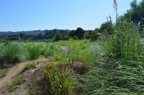 Terreno Rustico C/ 25.000m2 com viabilidade para construção em Gondomar