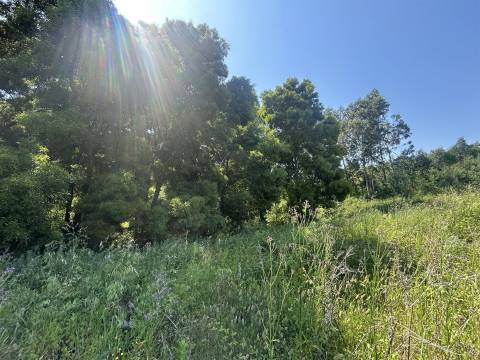 Terreno Rustico C/ 25.000m2 com viabilidade para construção em Gondomar