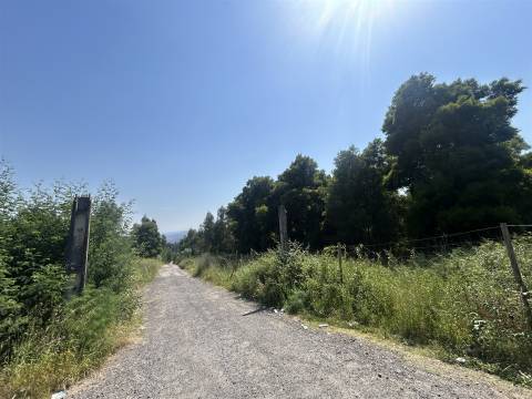 Terreno Rustico C/ 25.000m2 com viabilidade para construção em Gondomar