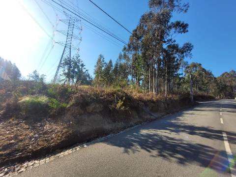 Lote de Terreno p/ construção com uma área total de 7.500 m² em Sandim