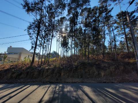 Lote de Terreno p/ construção com uma área total de 7.500 m² em Sandim