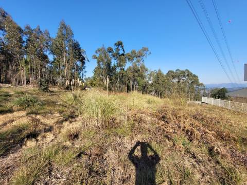 Lote de Terreno p/ construção com uma área total de 7.500 m² em Sandim