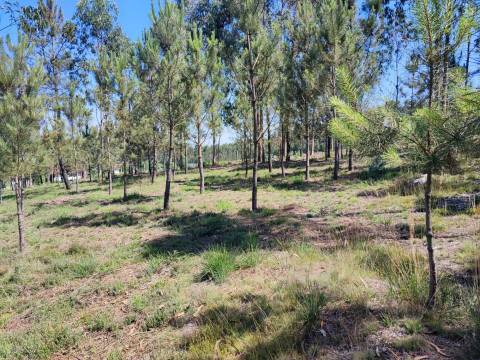 Terreno Rústico  Venda em Vilarinho das Cambas,Vila Nova de Famalicão