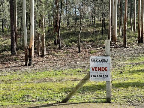 Terreno Rústico  Venda em Vilarinho das Cambas,Vila Nova de Famalicão
