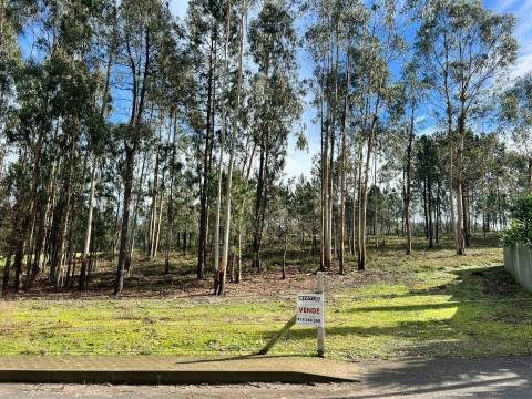Terreno Rústico  Venda em Vilarinho das Cambas,Vila Nova de Famalicão