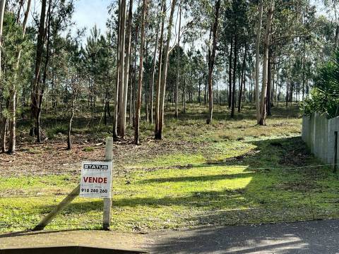 Terreno Rústico  Venda em Vilarinho das Cambas,Vila Nova de Famalicão