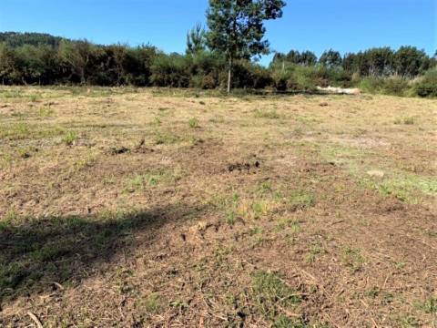 Terreno com 7801 m2 em Sandim