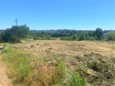 Terreno com 7801 m2 em Sandim