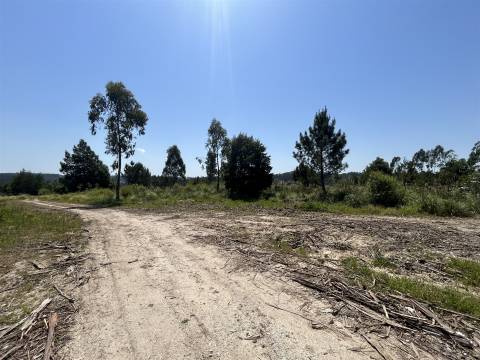 Terreno com 7801 m2 em Sandim