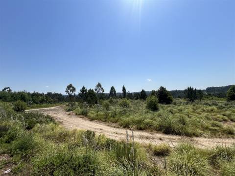 Terreno com 7801 m2 em Sandim