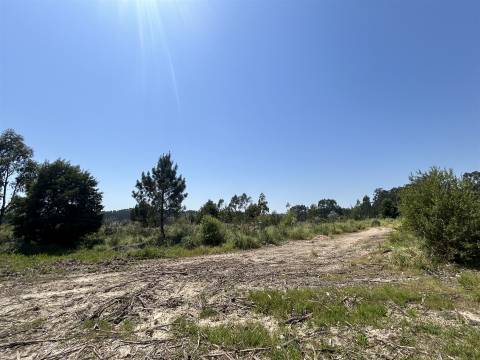 Terreno com 7801 m2 em Sandim