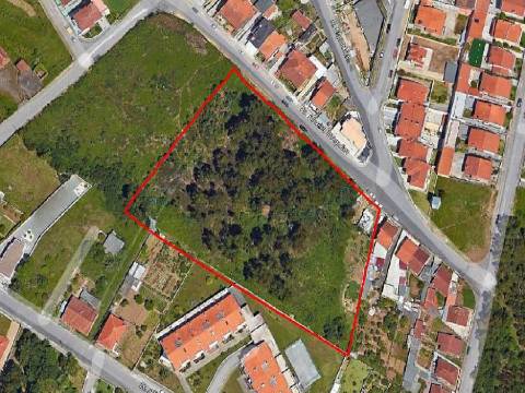 Terreno com 8.950 m² para Construção em Pedroso