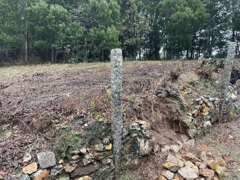 Terreno com 8.950 m² para Construção em Pedroso