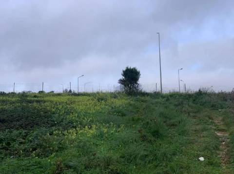 Terreno  Venda em Sintra (Santa Maria e São Miguel, São Martinho e São Pedro de Penaferrim),Sintra
