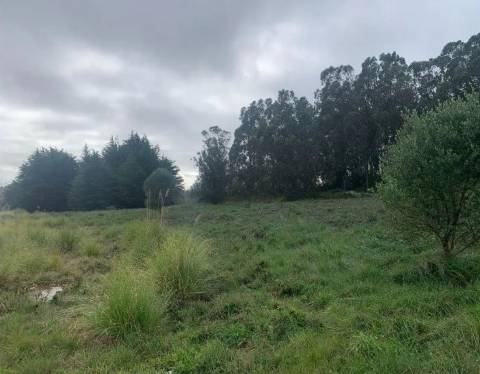 Terreno  Venda em Sintra (Santa Maria e São Miguel, São Martinho e São Pedro de Penaferrim),Sintra