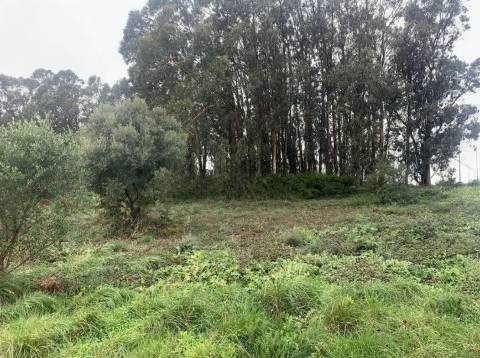 Terreno  Venda em Sintra (Santa Maria e São Miguel, São Martinho e São Pedro de Penaferrim),Sintra