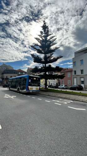 Apartamento T0+1 Arrendamento em Aldoar, Foz do Douro e Nevogilde,Porto