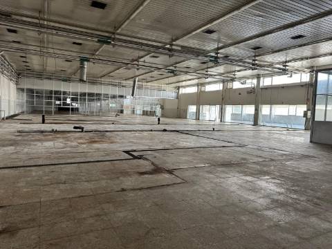 Armazém  Venda em Mogege,Vila Nova de Famalicão