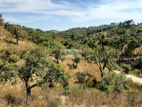 Terreno Rústico  Venda em Santa Clara-a-Nova e Gomes Aires,Almodôvar