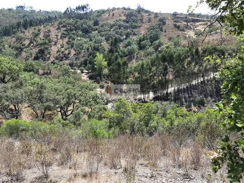 Terreno Rústico  Venda em Santa Clara-a-Nova e Gomes Aires,Almodôvar