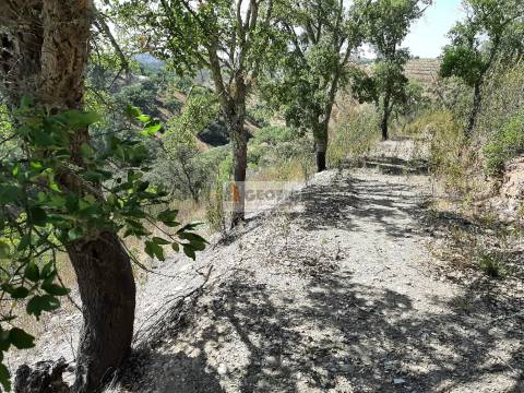Terreno Rústico  Venda em Santa Clara-a-Nova e Gomes Aires,Almodôvar