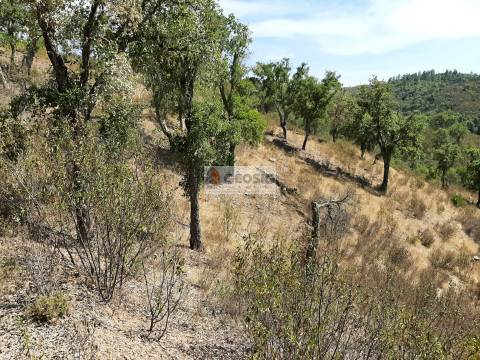 Terreno Rústico  Venda em Santa Clara-a-Nova e Gomes Aires,Almodôvar