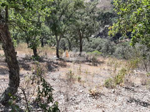 Terreno Rústico  Venda em Santa Clara-a-Nova e Gomes Aires,Almodôvar