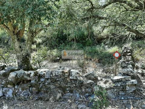 Terreno Rústico  Venda em Santa Clara-a-Nova e Gomes Aires,Almodôvar