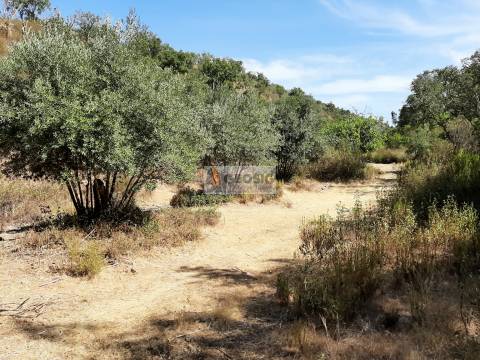 Terreno Rústico  Venda em Santa Clara-a-Nova e Gomes Aires,Almodôvar