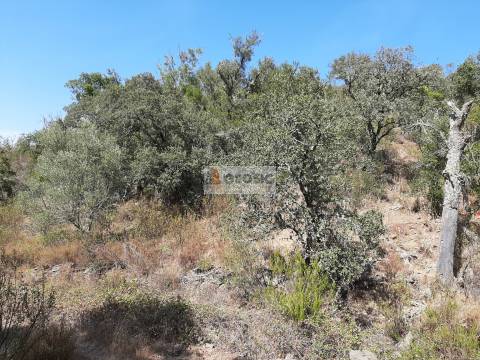 Terreno Rústico  Venda em Santa Clara-a-Nova e Gomes Aires,Almodôvar
